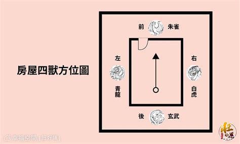 風水 龍邊虎邊 同時踩煞車油門截圖